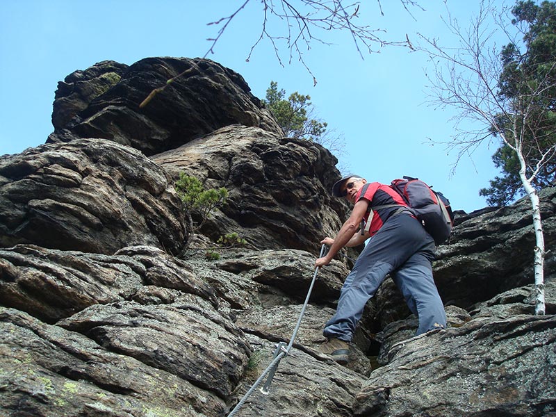 dunkelsteinerwald